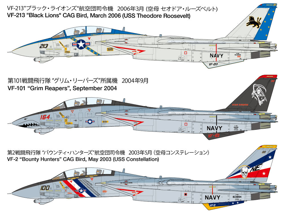 Grumman F-14D Tomcat Tamiya 1/48 plastic kit 61118